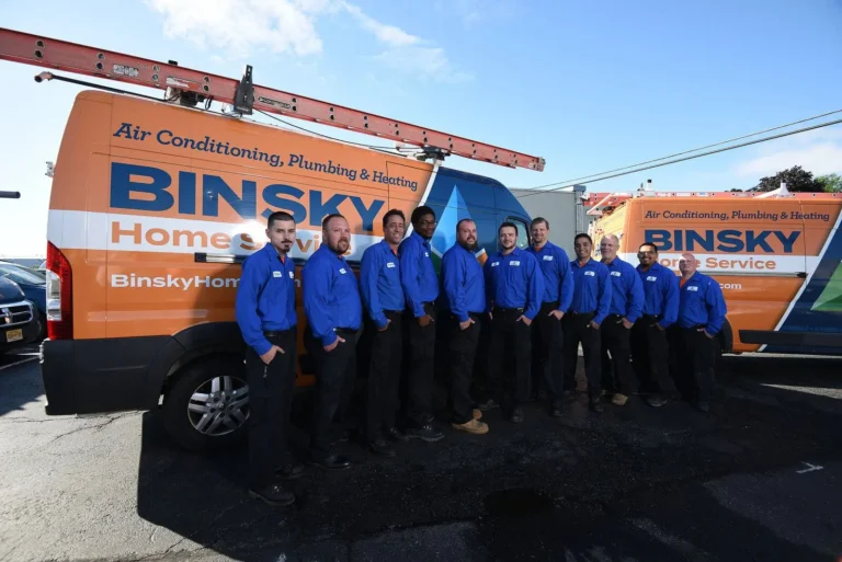 Binsky Home Service technician providing professional service